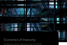 Photo of Economics Of Insecurity